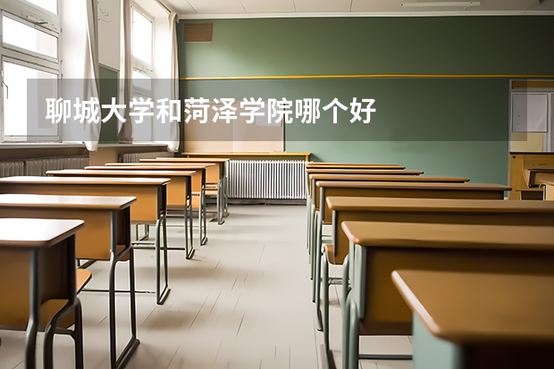 聊城大学和菏泽学院哪个好