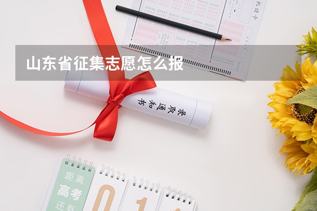 山东省征集志愿怎么报