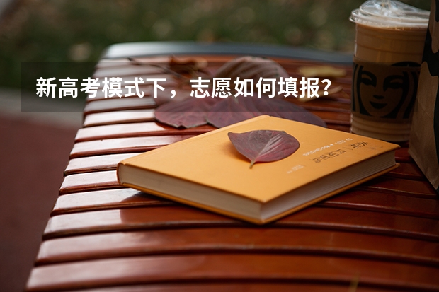 新高考模式下，志愿如何填报？