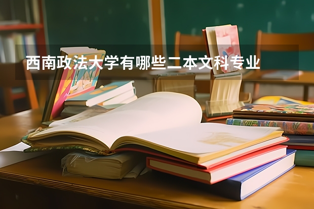 西南政法大学有哪些二本文科专业