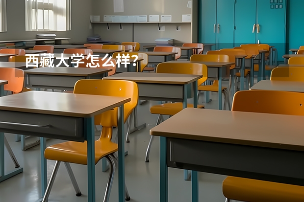 西藏大学怎么样？