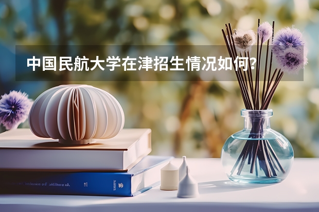 中国民航大学在津招生情况如何？