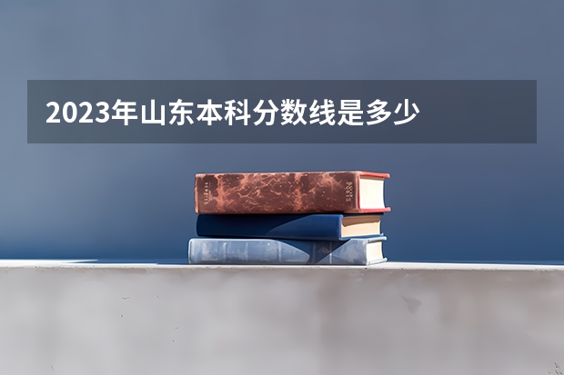 2023年山东本科分数线是多少