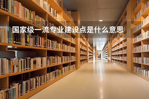 国家级一流专业建设点是什么意思