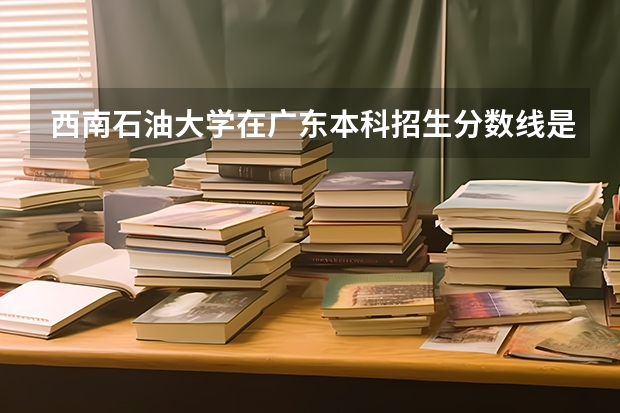 西南石油大学在广东本科招生分数线是多少