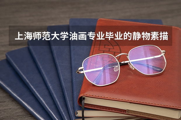上海师范大学油画专业毕业的静物素描作者有哪些重要经历?