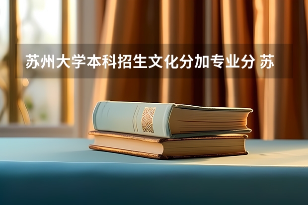 苏州大学本科招生文化分加专业分 苏州城市学院招生章程